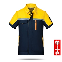 Тибетская синяя пиноло желтая полоса