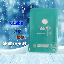 Gas ice 72 hours to keep cold hairy crab seafood aquatic products self-priming ice bag aviation technology ice bag oxygen