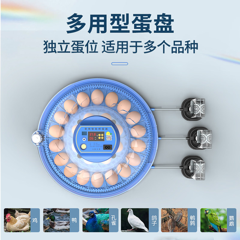 威振小飞碟孵化器：开启家庭孵化新纪元，芦丁鸡孵化轻松搞定！-电热工具-淘宝百科网