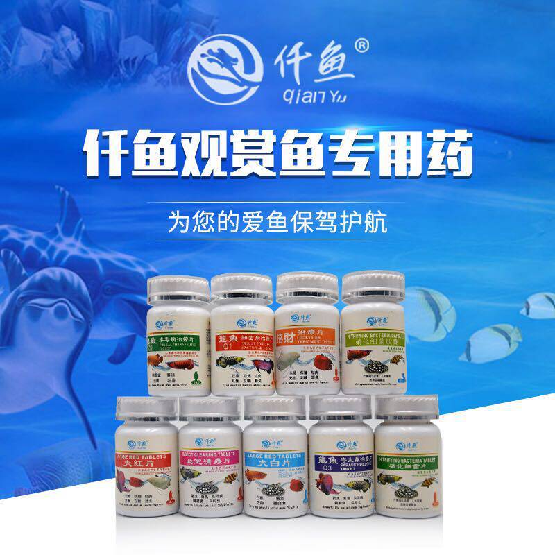 Dongfish big white piece of fish pill must clear the inland parasitic heads of white dot hydromold scaly disease