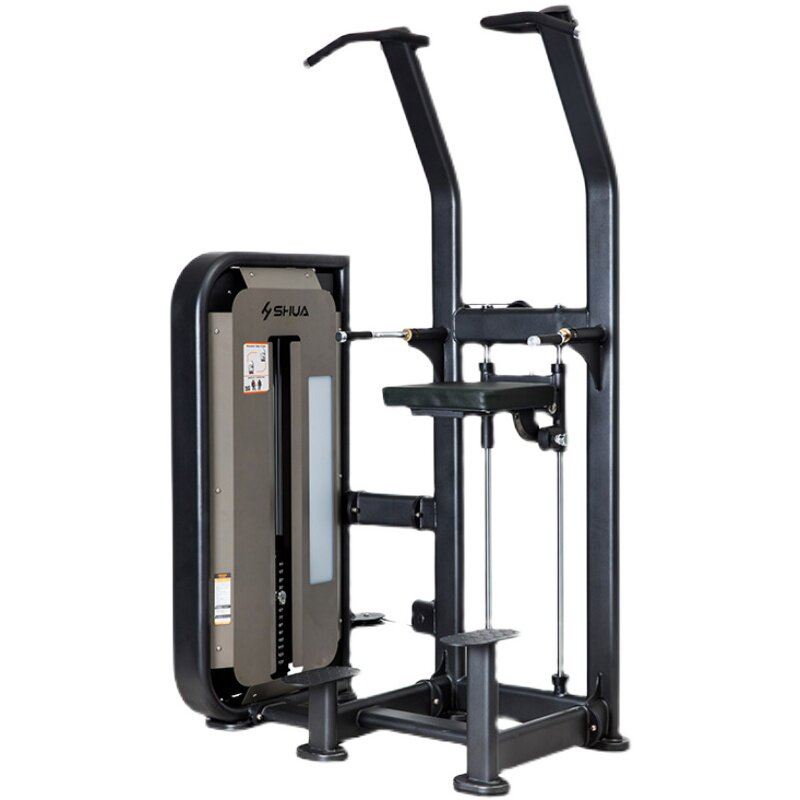 Shuhua back strength trainer pull-up high pull-down gym special fitness equipment SH-6851