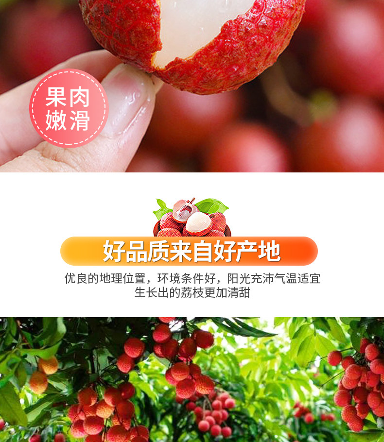 海南妃子笑现货秒发新鲜荔 3斤 坏果包赔 图3