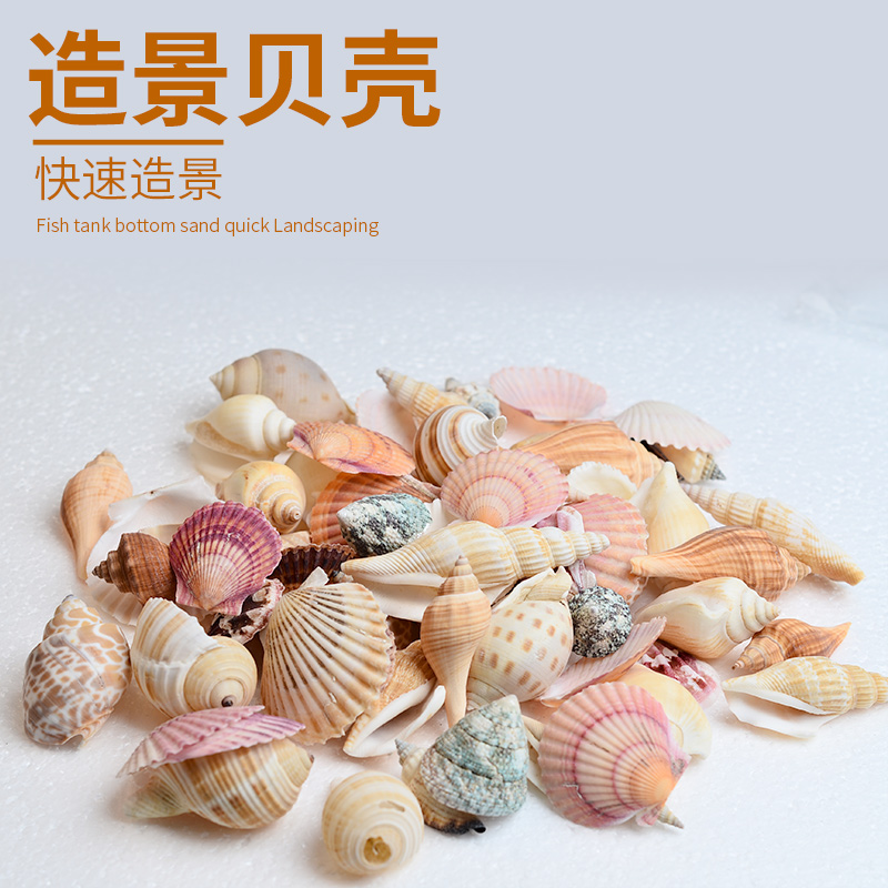 The tank bottom sand grass mud gravel river sand wash The sand of The sea scenery ShaTao multicolored luminous stone sand rock