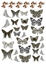 Hand Tent Stickler Retro Mushroom Plant Butterfly Vitriol Paper Printed Subsurface Paper Print Homemade Uncut