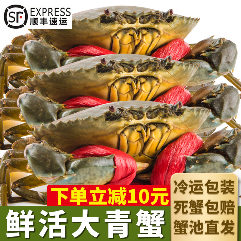 Three doors of fresh green crab big red cream crab seafood big crab oversized sauce meat crab big female crab 2 pounds of SF