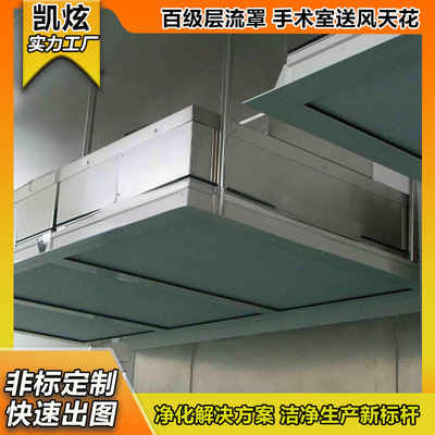 [不锈钢百级层流罩无尘车间实验室称量罩洁净棚FFU高效过滤器机组]
