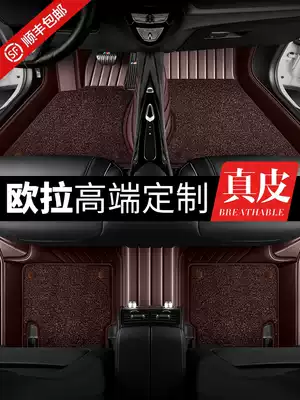 Great Wall Euler black cat leather foot pad R1 car IQ White Cat good cat special full surround leather car mat carpet