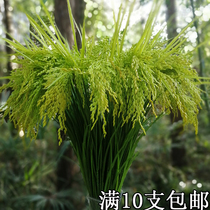 New product simulated rice simulated rice rice ears fake rice props dance background decoration plastic flower wheat