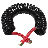 Черный (рыжая голова)