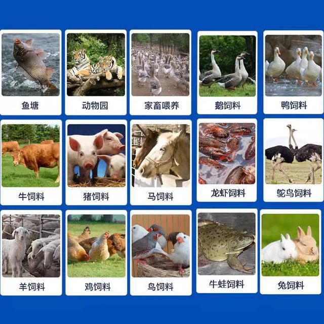 Feed pellet machine small 220v household breeding equipment chicken duck geese cattle sheep pig fish corn stalk pelleting machine