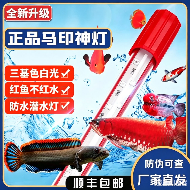 Aquarium Light for Goldfish and Dragonfish, Three-Color Enhancement Light, Aquatic Plant Light, Fish Tank Light, Led Light, Waterproof Aquarium Light for Goldfish and Dragonfish, Three-Color Enhancement Light, Aquatic Plant Light, Fish Tank Light, Led Light, Waterproof