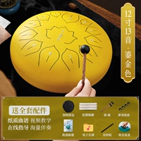 [Солнечное золото] 12 -INCH 13 -Tone+аксессуары+сумка церковь