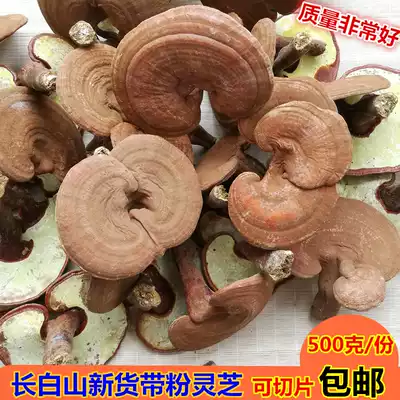 Changbai Mountain Ganoderma Lucidum with powder Fresh Red Ganoderma Lucidum Basswood Purple Zhi Semi-wild Purple Ganoderma Lucidum 500g