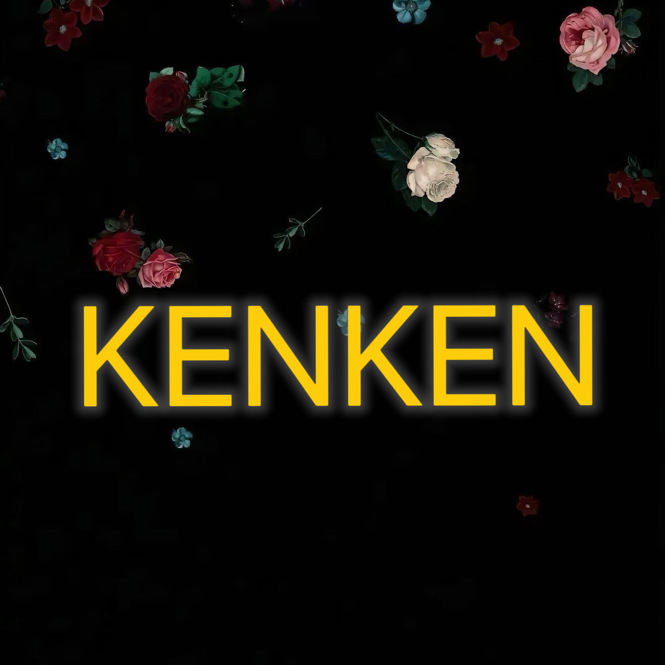 KENKEN精品发饰