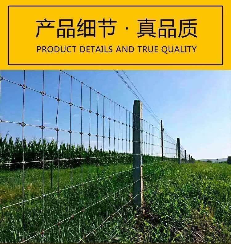 Спортивная сеть/периметр 热镀锌防锈铁丝网围栏牛羊养殖网果园钢丝网牛栏防护加粗超硬
