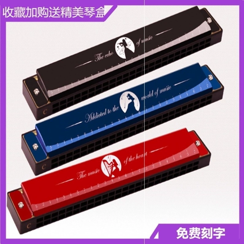 . Phim hoạt hình 24 lỗ harmonica trẻ em đồ chơi mới bắt đầu giai điệu organ nhạc cụ trẻ em trai và gái quà tặng sinh nhật mới - Nhạc cụ phương Tây