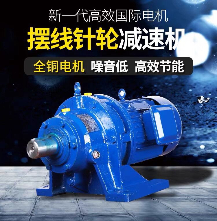 Cycloidal needle wheel reducer horizontal vertical straight and joint motor 380V 220V pure copper wire national standard motor