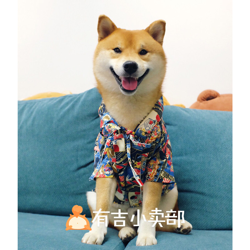 Chai Dog Kimono Clothing Pet Cat Dog Days Style Day Ensemble Bath Clothes Spring And Summer Tide Retro-Painted Waves Handmade