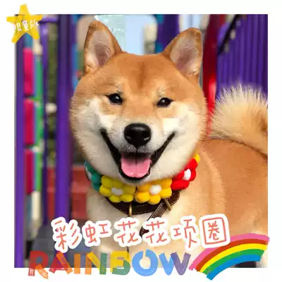 Stupid Shiba Daji pet cat and dog rainbow garland necklace neck ring Net red Shiba inu small flower jewelry Corgi photo
