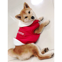 Chai dog cotton vest vest dog autumn and winter warm clothing Tide brand plus velvet padded cotton jacket two feet kowji fight