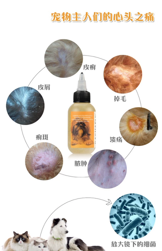 Basharf mèo và chó bệnh da chống nấm Shiba Inu nhiễm vi khuẩn mèo mạt chống viêm và ngứa - Cat / Dog Medical Supplies
