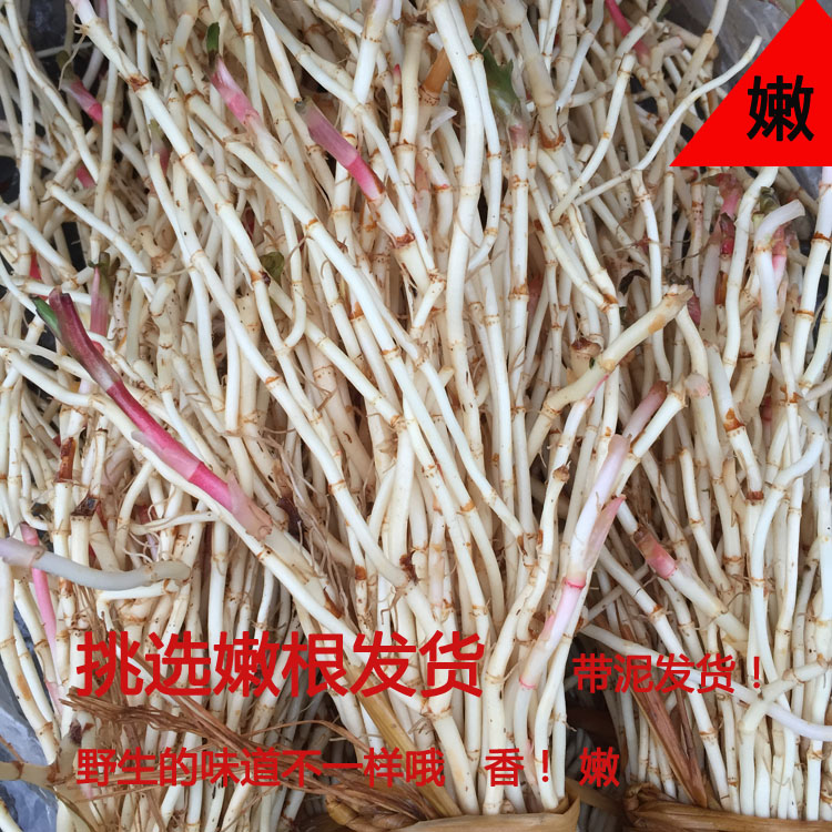 Hubei Enshi wild folded ear root Houttuynia cordata deep mountain local one pound meal