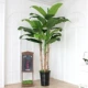 Cây chuối mô phỏng cây trang trí nội thất lớn cây giả cây chuối sàn chậu cảnh phòng khách hoa nhựa xanh - Hoa nhân tạo / Cây / Trái cây chậu hoa giả