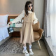 Girls' autumn dress children's skirt autumn 2022 new net red foreign style big children's fake two-piece princess dress