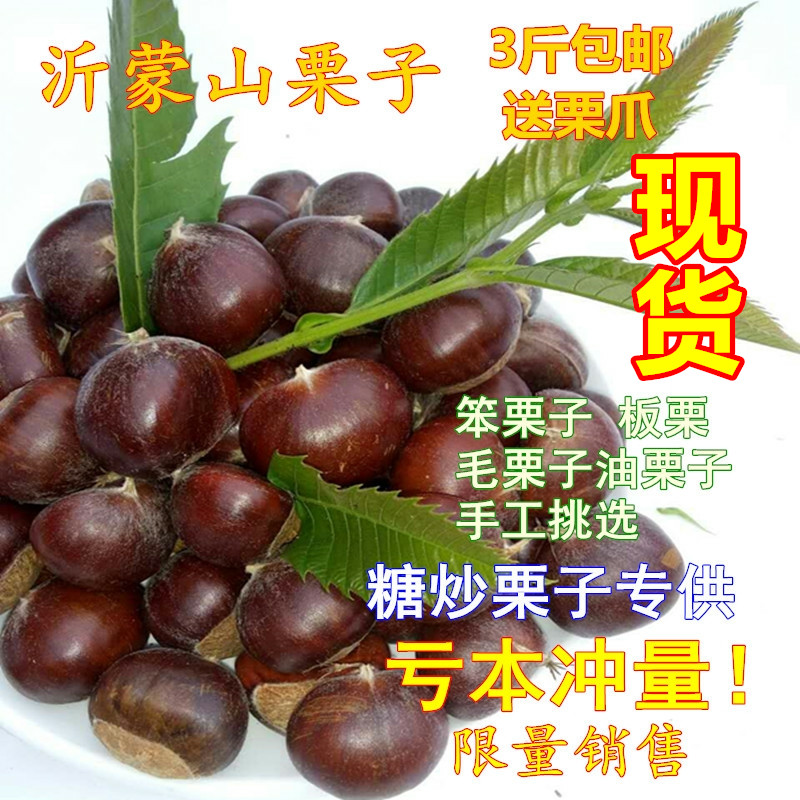 2022 chestnuts raw fresh chestnuts wild small hairy chestnuts old tree oil chestnuts Yimeng mountain chestnut farm wholesale distribution