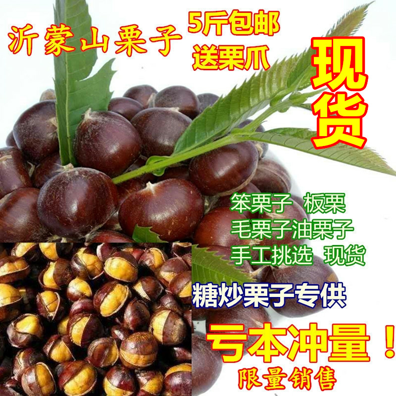 Fresh chestnut raw old tree oil chestnut Yimeng mountain hair chestnut 22 years farm wild small big 500g serving 5 catties