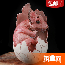 Unboxing net EDAGE Eden century Jurassic Triceratops dinosaur egg baby simulation animal model ornaments