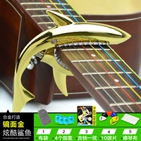 Зеркальное золото+тканевая сумка+1 струна 10 веслей+4 набор для профилактики боли+ткань фортепиано