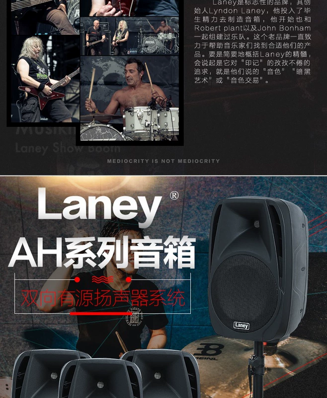 Lenny Laney AH110 AH112 AH115 tổng hợp trống điện guitar bass đa chức năng loa - Loa loa