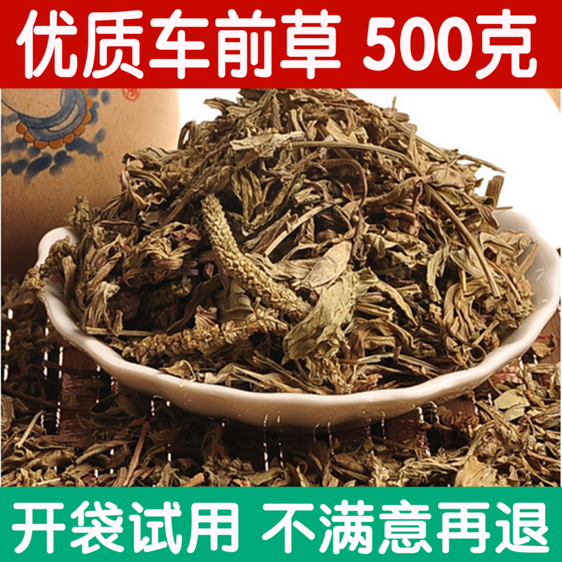 Plantain Hay Dry Wild 500g Grams Fresh Plantain Herbal Tea Chinese Herbal Medicine Wholesale Grindable Powder With Seeds