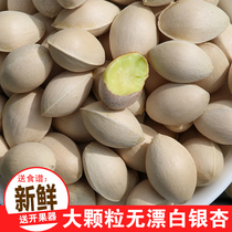 Fresh Ginkgo biloba fruit (5 5 pounds)white fruit high-quality Big Buddha refers to Pizhou specialty to send fruit opener and recipe