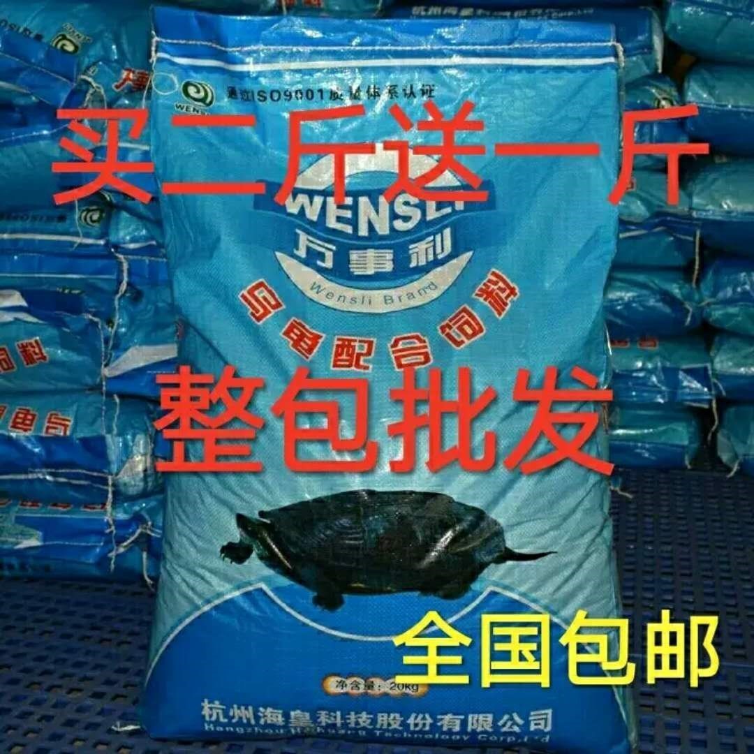 Young Tortoise Grain Masterturtle Turtle Stone Gold Money Turtle feed Small turtle food Tortoise Tortoise Tortoise Tortoise Turtle Baby Tortoise