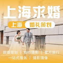 Shanghai Proposal Planning and Arrangement Confession Surprise Romantic Proposal Indoor and Outdoor Cinema Creative Confession Customization Service