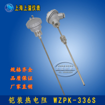 Shanghai instrument single armored platinum thermal resistance WZPK-336 -200-420 Waterproof type