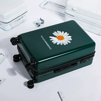 Маленькая Дейзи М-Грин