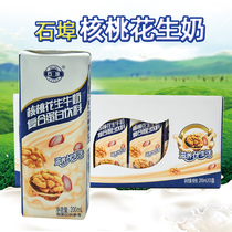 Shibu walnut peanut milk walnut flavored breakfast milk 200ml * 12 boxes of healthy nutritious protein drink