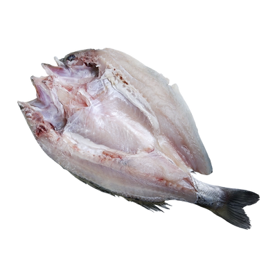 新鲜开背鲈鱼鲜活海鲈鱼冷冻大鲈鱼开背白蕉海鲜水产深海鱼3条装