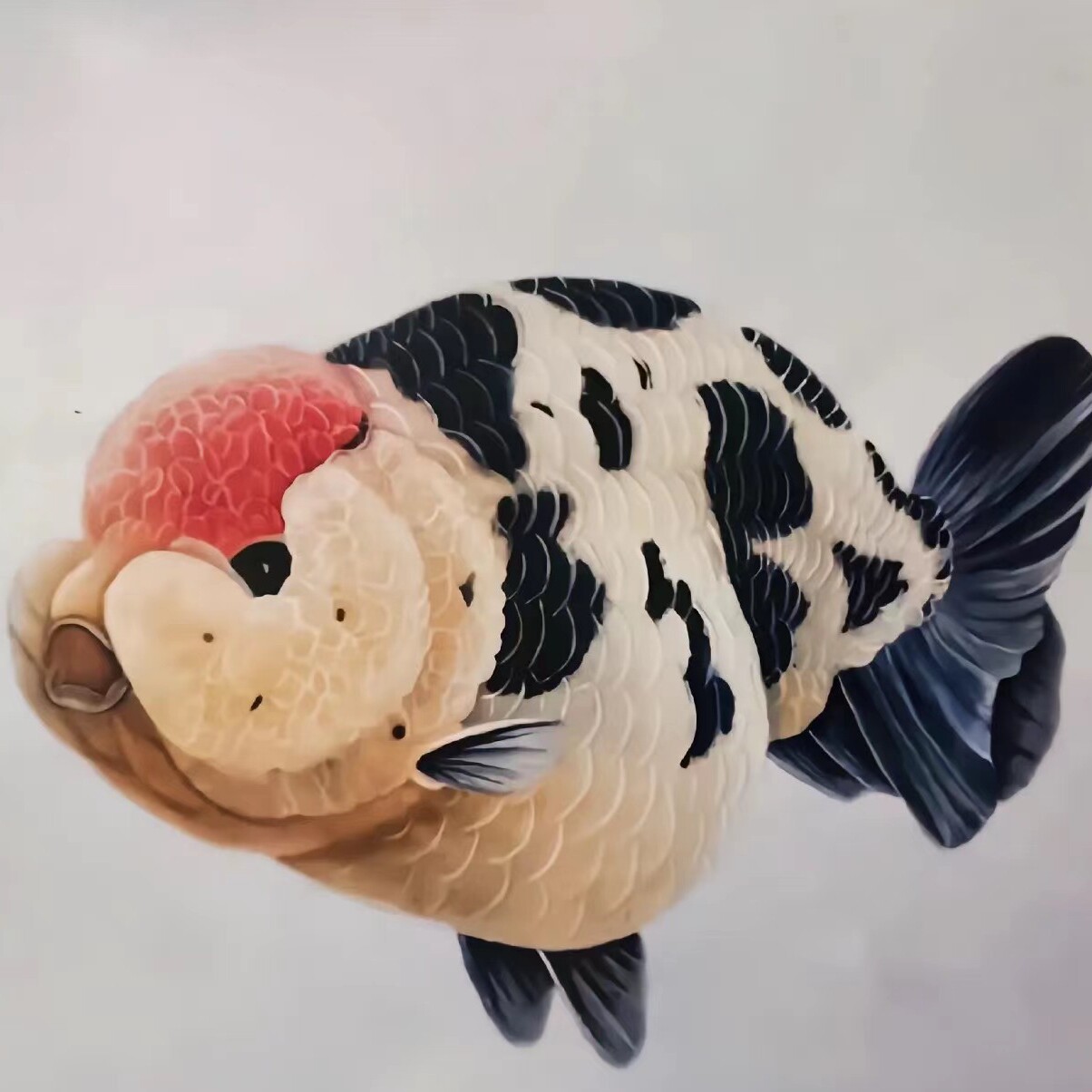 优尚渔水族馆