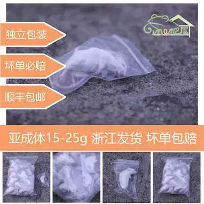 Independent packaging sterile frozen white mouse subadult feeding snake grain crawling pet feed Rat Cat turtle horn frog