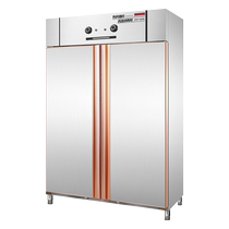 Ellis disinfection cabinet ZTP-38K2 commercial vertical dining stainless steel cupboard hot air circulation high temperature canteen