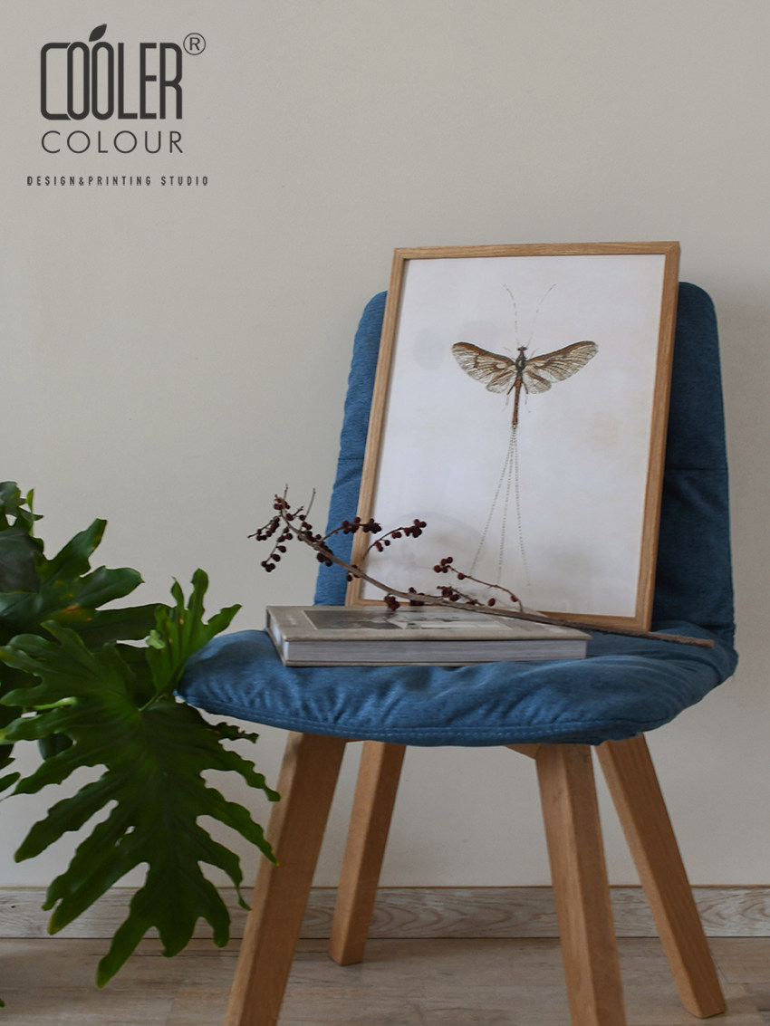 CoolerColour Retro Plant Animal Insect Illustration Long-tailed Dragonfly Nordic Medieval Decorative Painting Poster