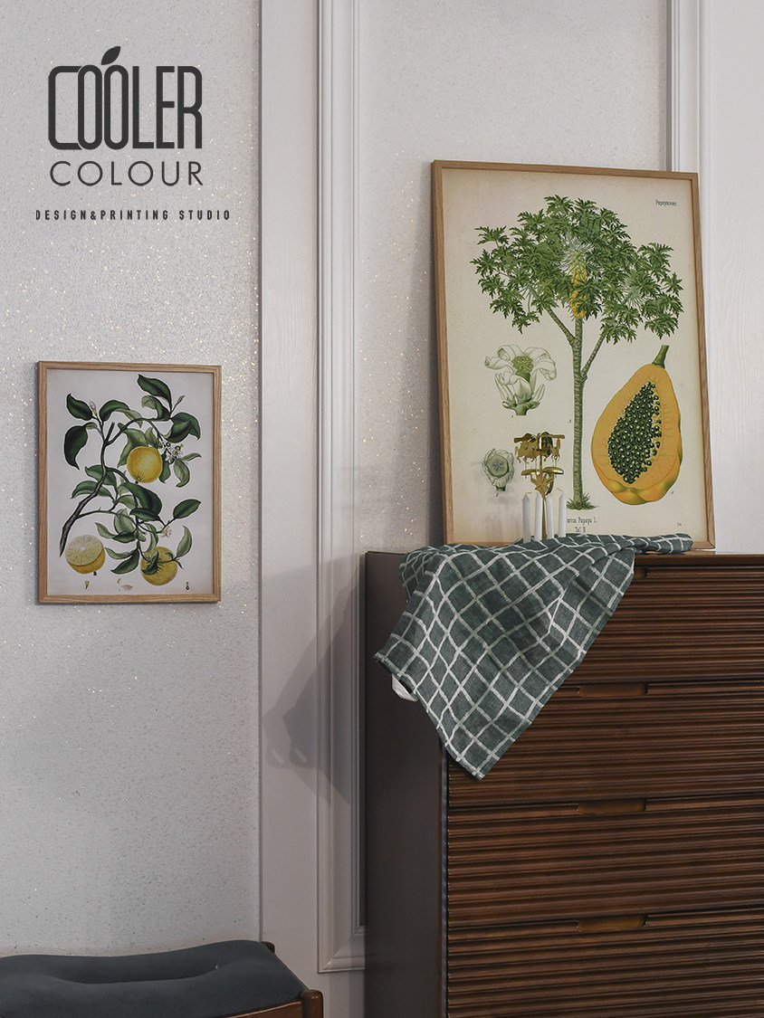 CoolerColour retro plant illustration papaya tree fruit fruit Nordic medieval decorative painting poster