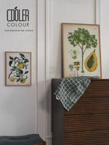 CoolerColour retro botanical illustrated papaya tree fruit Nordic medieval decoration painting poster