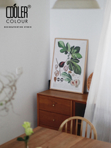 CoolerColour retro botanical map Figs Fruits Flowers Nordic Medieval small crowddecorative painting Posters