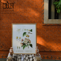 CoolerColour retro botanical map of the sea Blossom Flowers Nordic Medieval Decoration Painting Posters