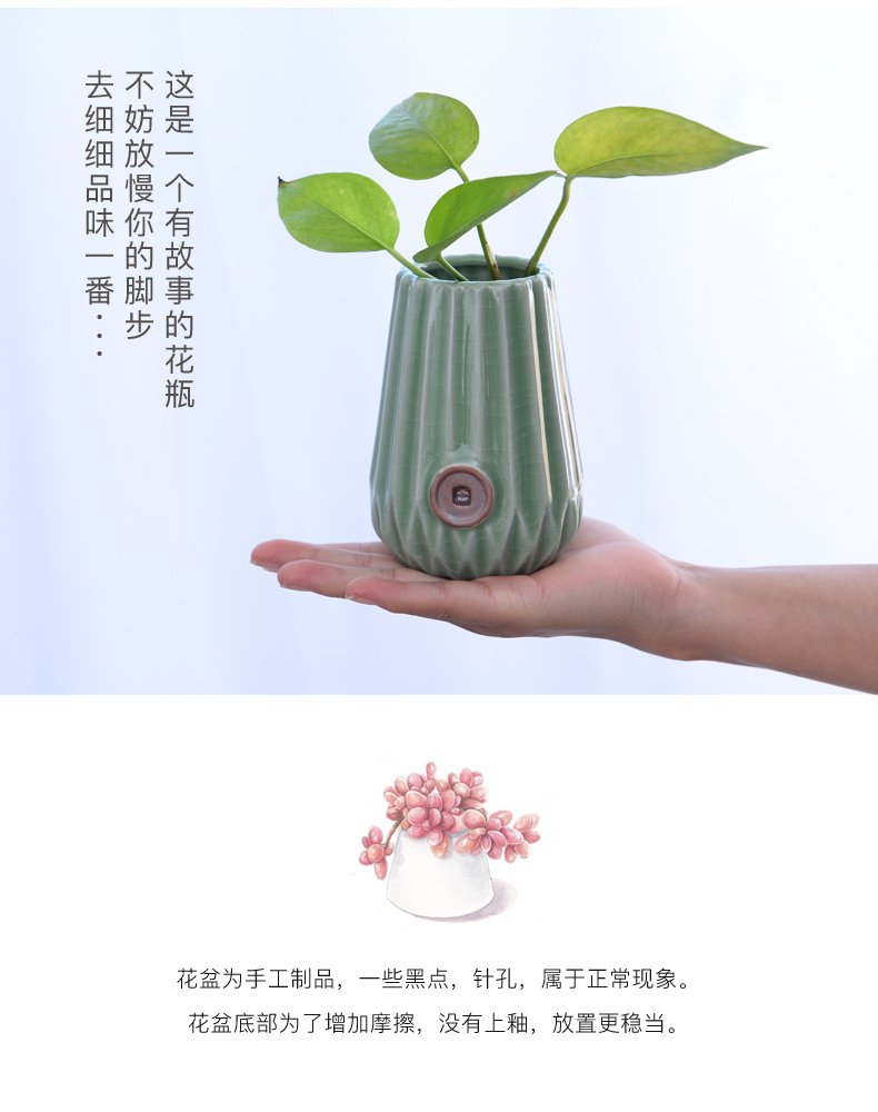 Water raise other elder brother up vase hydroponic copper grass flower POTS ceramic dried flowers all over the sky star flower tea desktop furnishing articles